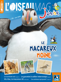 Couverture de l'OISEAU MAG JUNIOR n°35